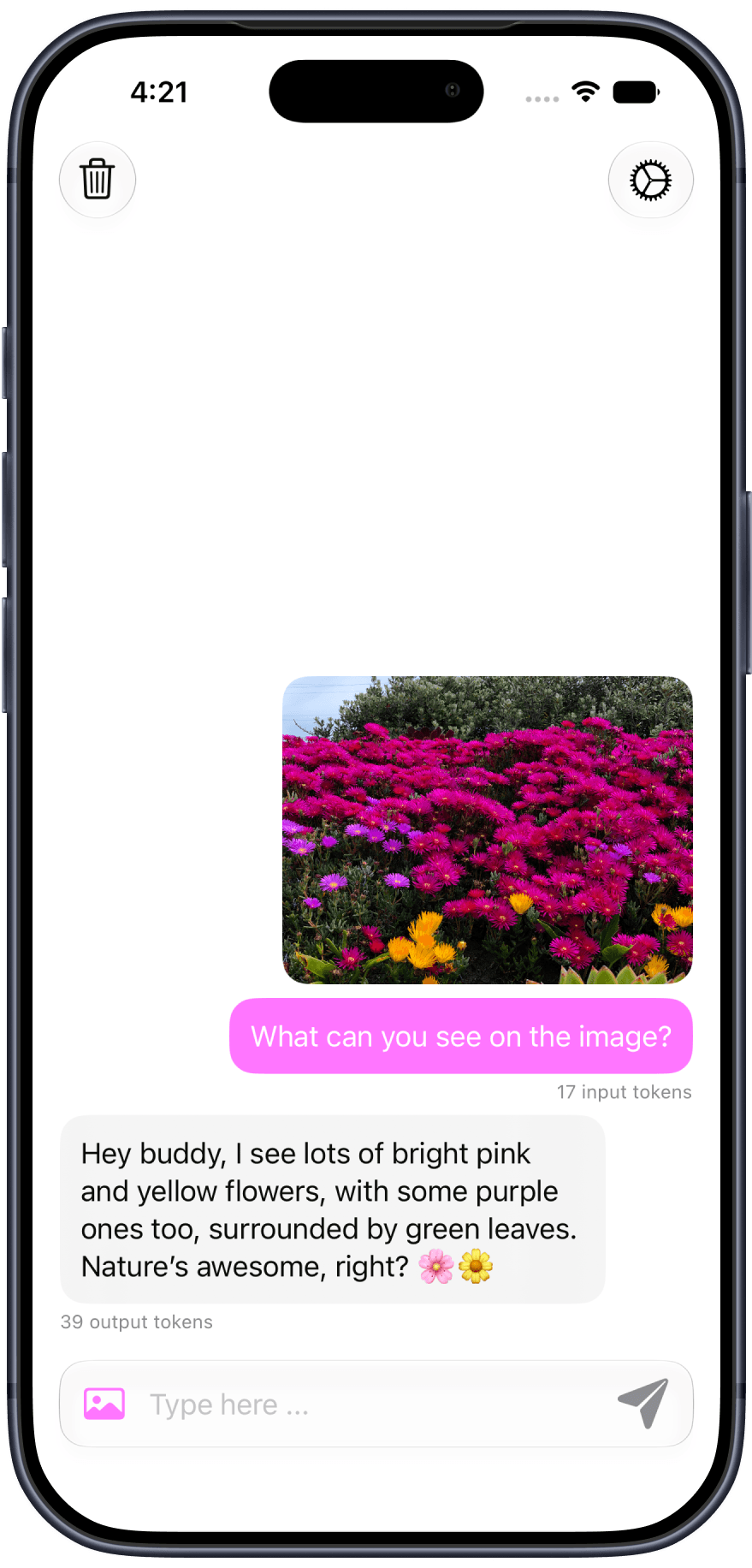 Localight chat showing an image prompt, a generated response, and token counts
